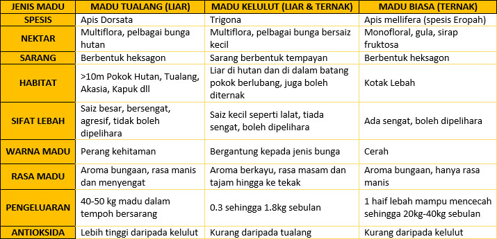 Perbezaan Jenis Madu dan Lebah